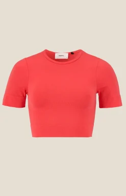 Collective Seamless Cropped SS Top W
