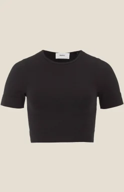 Collective Seamless Cropped SS Top W