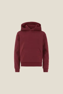 Community 2.0 Hoodie Jr