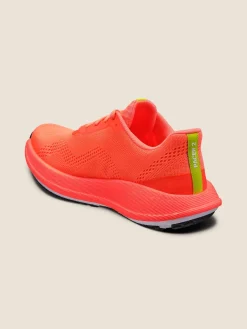 Pacer 2 M